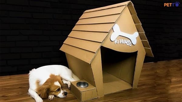 Nhà cho thú cưng bằng bìa carton