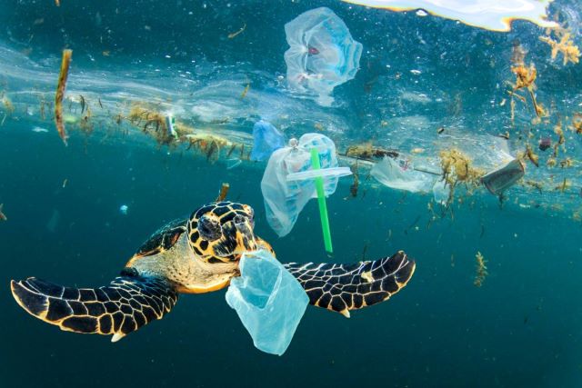 Rác thải nhựa gây nên tình trạng ô nhiễm trắng đến môi trường biển