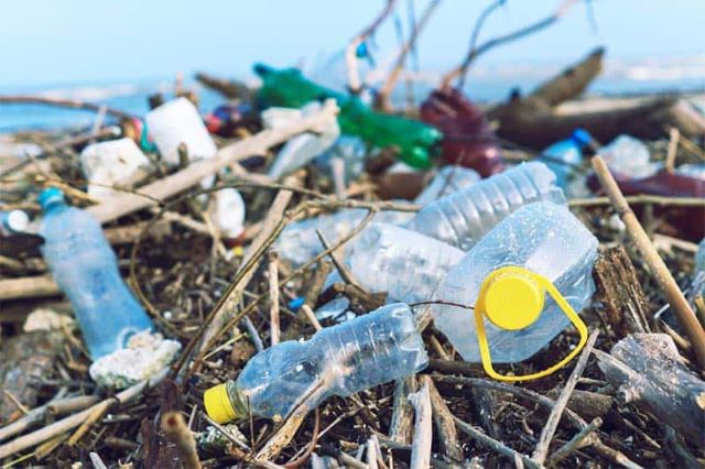 Rác thải nhựa là 1 trong những vấn đề ảnh hưởng đến toàn bộ sinh vật